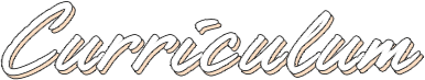 Curriculum